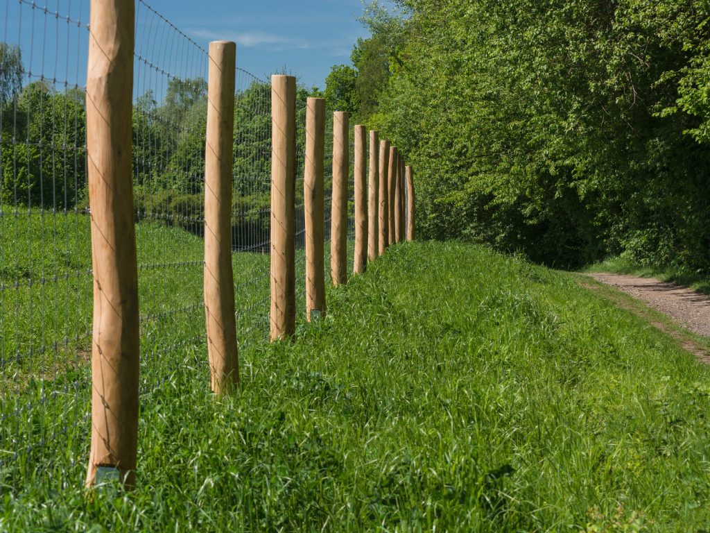 Fence,Of,A,Pasture,For,Horses,Or,Cows